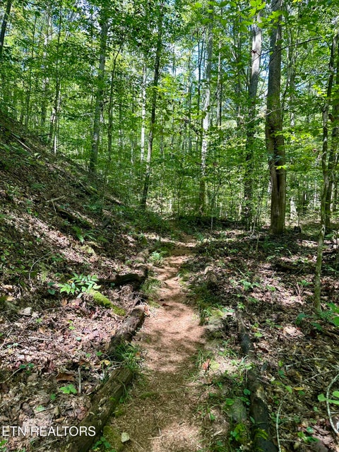 Tiny photo for 755 Bear Branch Rd, Wartburg, TN 37887 (MLS # 1355547)