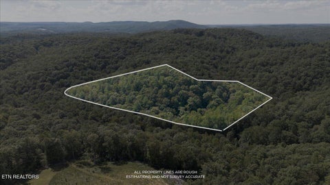 Tiny photo for 755 Bear Branch Rd, Wartburg, TN 37887 (MLS # 1355547)