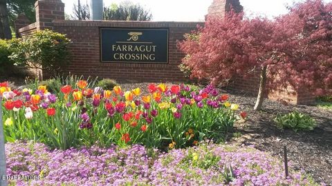 Tiny photo for 345 Farragut Crossing Drive, Farragut, TN 37934 (MLS # 1325500)
