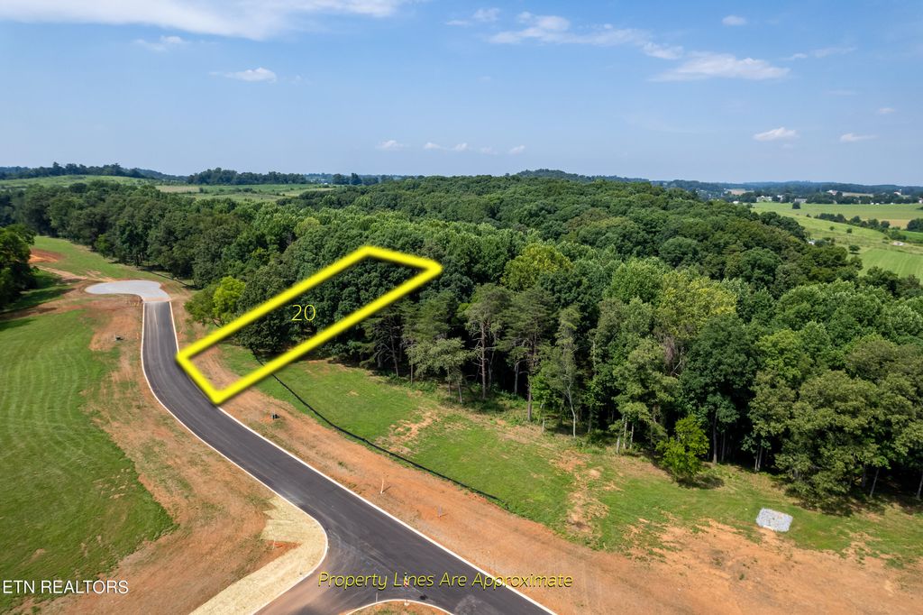 Photo of 201012 Sophie Drive, Greenback, TN 37742 (MLS # 1239370)