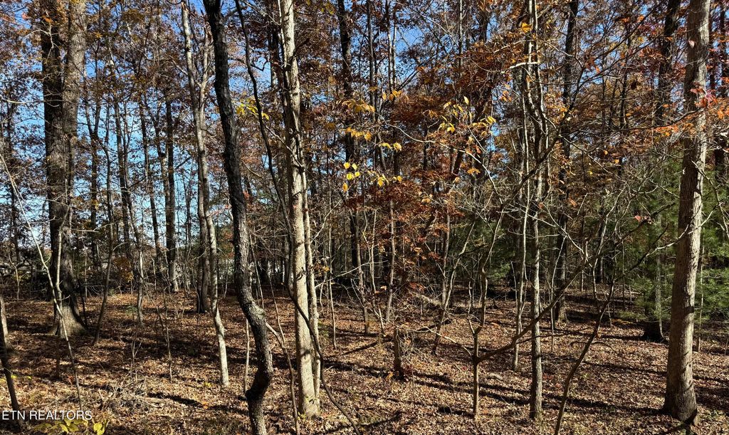 Photo of 107 Hunterwood Lane, Crossville, TN 38558 (MLS # 1320814)