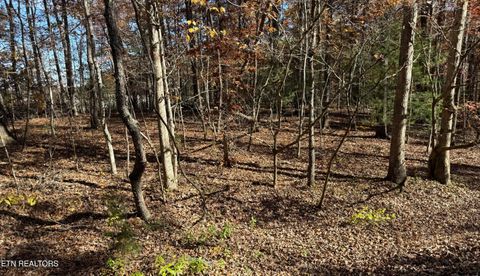 Photo of 107 Hunterwood Lane, Crossville, TN 38558 (MLS # 1320814)