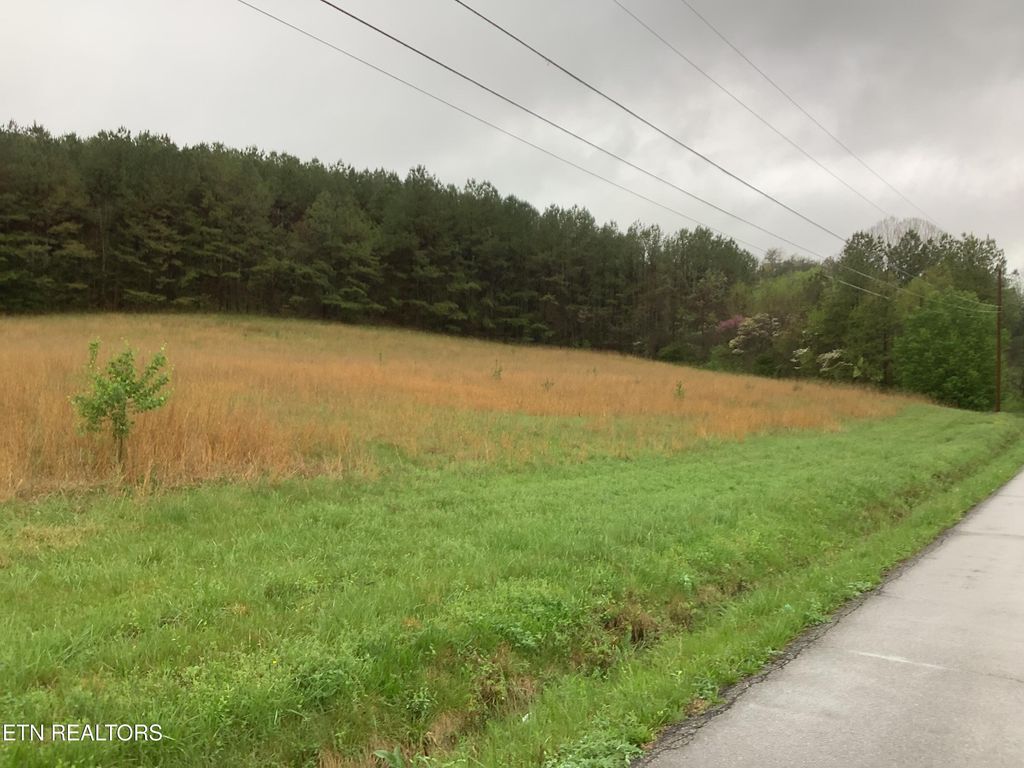 Photo of 24083 TN-58, Decatur, TN 37322 (MLS # 1339338)