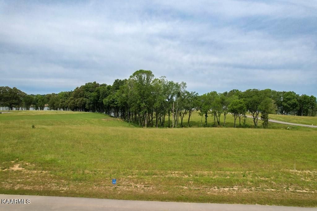 Photo of 48 Sunset Blvd, White Pine, TN 37890 (MLS # 1228577)