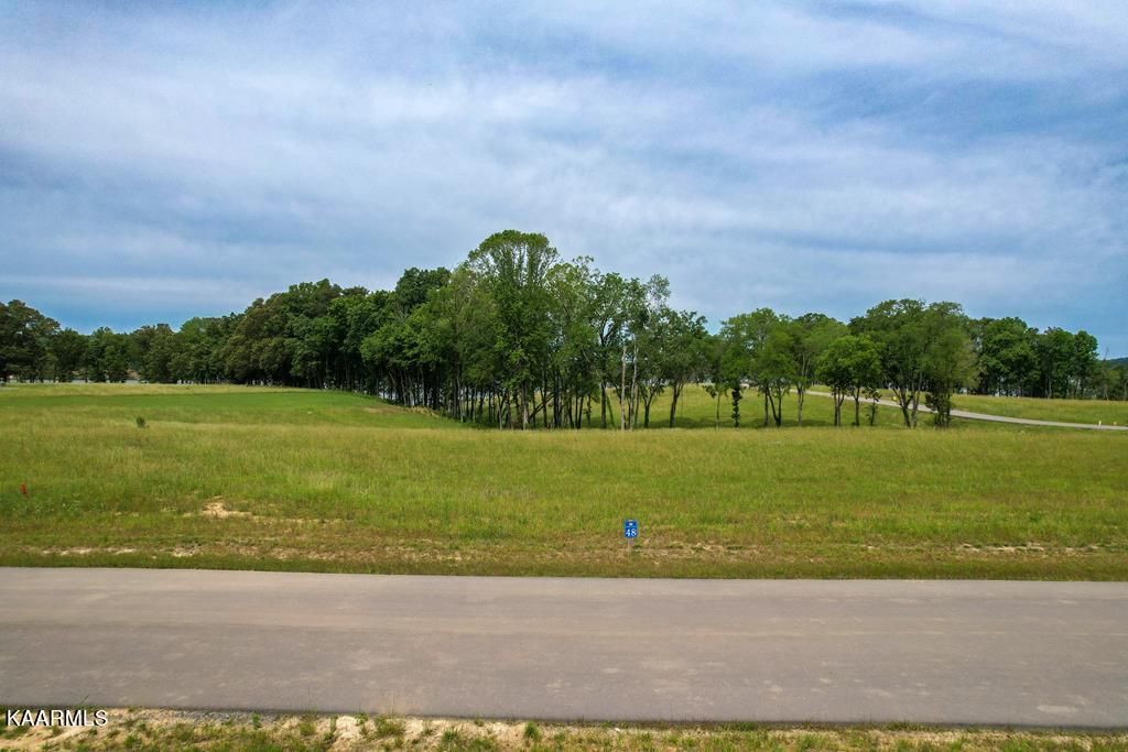 Photo of 48 Sunset Blvd, White Pine, TN 37890 (MLS # 1228577)