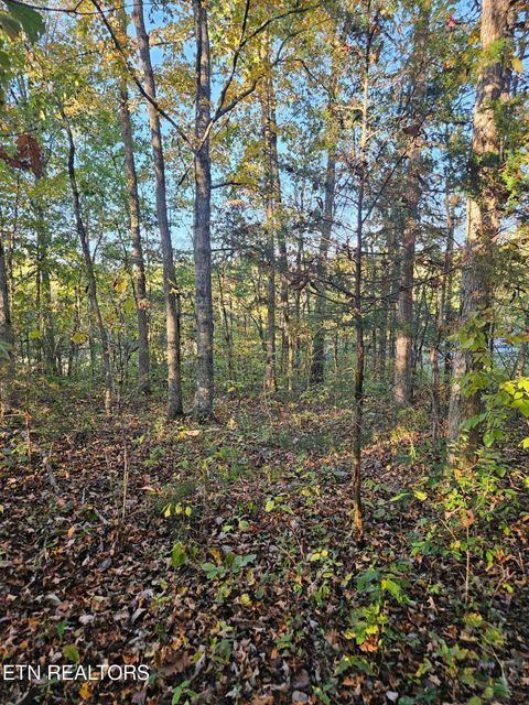 Tiny photo for 5987 Maynardville Hwy, Maynardville, TN 37807 (MLS # 1318871)