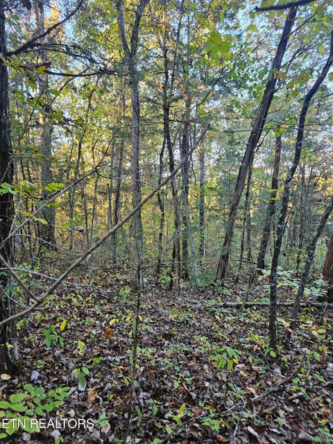 Tiny photo for 5987 Maynardville Hwy, Maynardville, TN 37807 (MLS # 1318871)