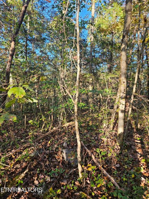 Tiny photo for 5987 Maynardville Hwy, Maynardville, TN 37807 (MLS # 1318871)