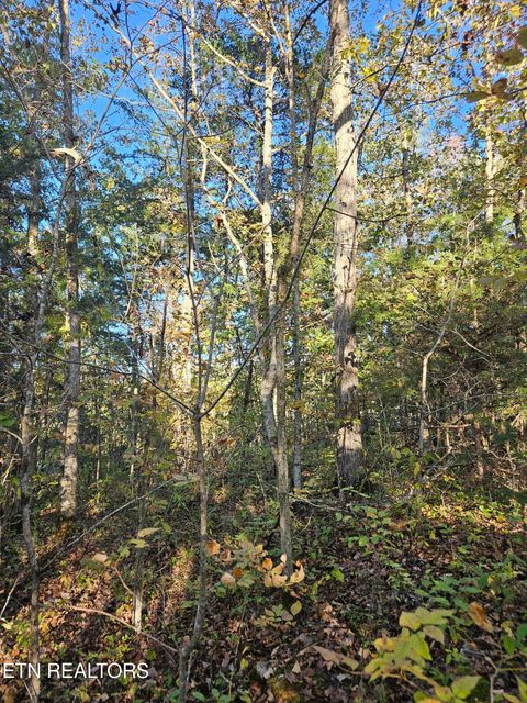 Tiny photo for 5987 Maynardville Hwy, Maynardville, TN 37807 (MLS # 1318871)
