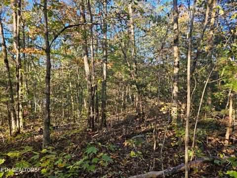 Tiny photo for 5987 Maynardville Hwy, Maynardville, TN 37807 (MLS # 1318871)