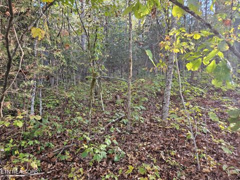 Tiny photo for 5987 Maynardville Hwy, Maynardville, TN 37807 (MLS # 1318871)