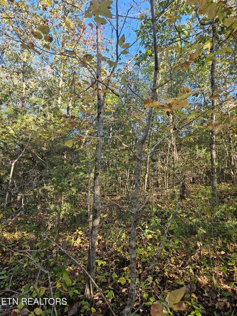 Tiny photo for 5987 Maynardville Hwy, Maynardville, TN 37807 (MLS # 1318871)
