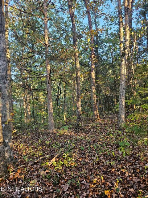 Tiny photo for 5987 Maynardville Hwy, Maynardville, TN 37807 (MLS # 1318871)