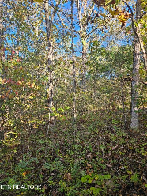 Tiny photo for 5987 Maynardville Hwy, Maynardville, TN 37807 (MLS # 1318871)