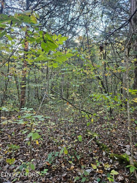 Tiny photo for 5987 Maynardville Hwy, Maynardville, TN 37807 (MLS # 1318871)