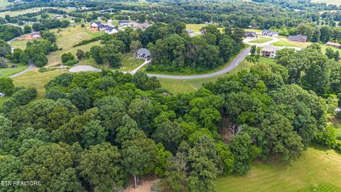 Tiny photo for 20 Meadowcrest Lane, Dandridge, TN 37725 (MLS # 1324022)