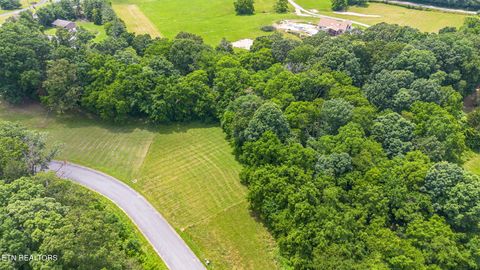 Tiny photo for 20 Meadowcrest Lane, Dandridge, TN 37725 (MLS # 1324022)