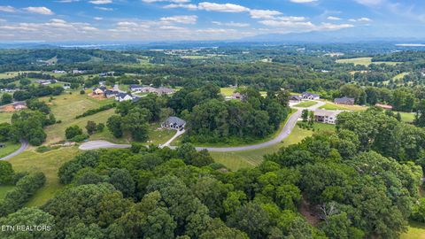 Tiny photo for 20 Meadowcrest Lane, Dandridge, TN 37725 (MLS # 1324022)