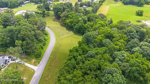 Tiny photo for 20 Meadowcrest Lane, Dandridge, TN 37725 (MLS # 1324022)