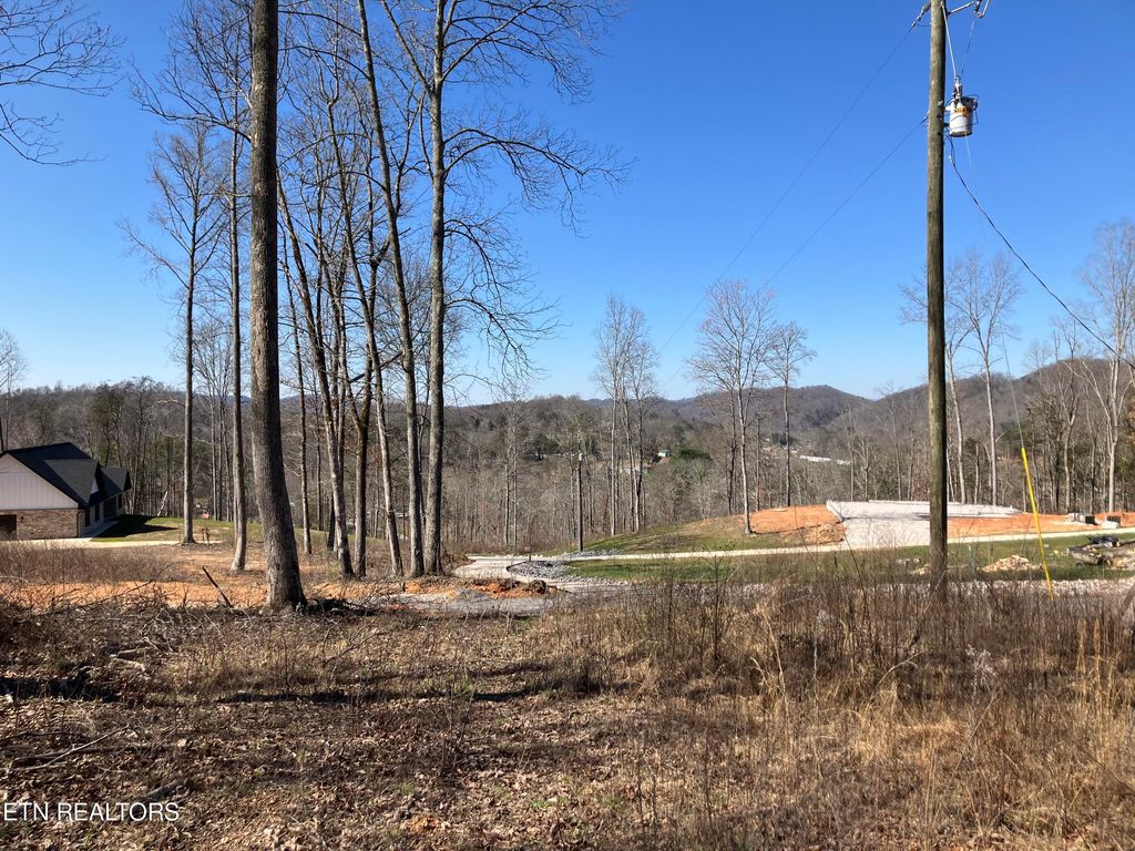 Photo of Lot 3 Hidden Timber Drive, Maynardville, TN 37807 (MLS # 1256296)