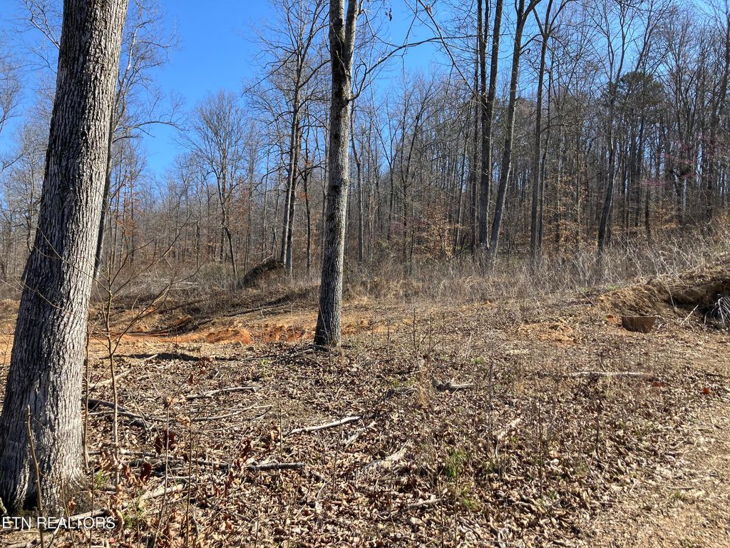Photo of Lot 3 Hidden Timber Drive, Maynardville, TN 37807 (MLS # 1256296)