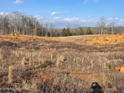 Photo of 10 Laura Boling Loop Rd, Strawberry Plains, TN 37871 (MLS # 1329931)