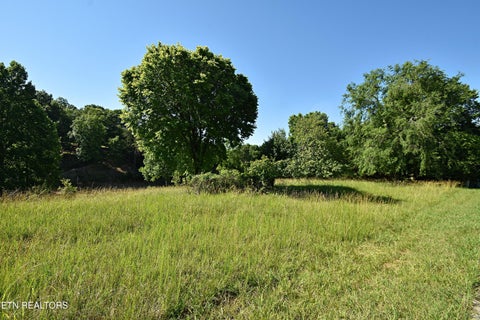 Tiny photo for Lot 19 Cypress Drive, Dandridge, TN 37725 (MLS # 1343591)