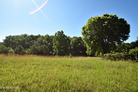 Tiny photo for Lot 19 Cypress Drive, Dandridge, TN 37725 (MLS # 1343591)