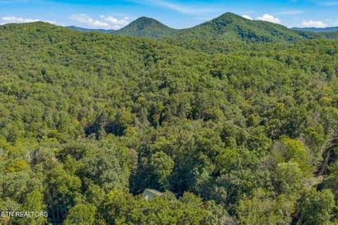 Tiny photo for 1801 Grouse Top Rd, Walland, TN 37886 (MLS # 1357054)
