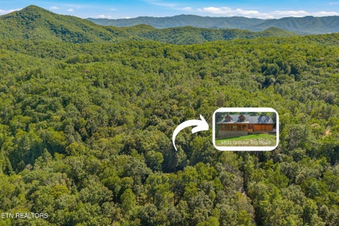 Tiny photo for 1801 Grouse Top Rd, Walland, TN 37886 (MLS # 1357054)