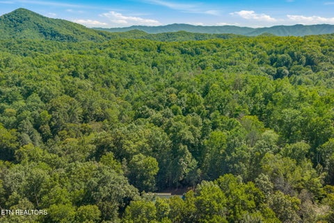 Tiny photo for 1801 Grouse Top Rd, Walland, TN 37886 (MLS # 1357054)