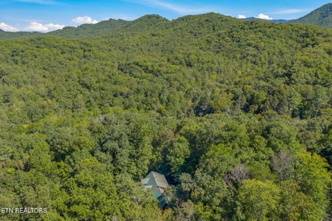 Tiny photo for 1801 Grouse Top Rd, Walland, TN 37886 (MLS # 1357054)