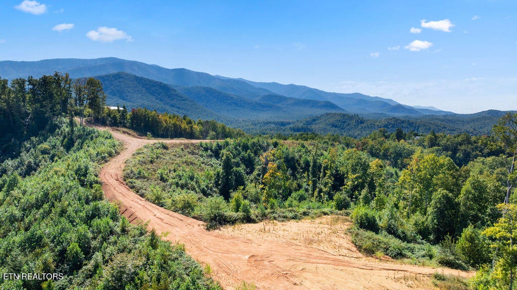 Photo of 433 Rdg Crk Way, Cosby, TN 37722 (MLS # 1358259)
