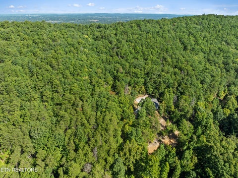 Tiny photo for 3261 Butterfly Hollow Rd, Maryville, TN 37803 (MLS # 1355420)