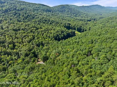Tiny photo for 3261 Butterfly Hollow Rd, Maryville, TN 37803 (MLS # 1355420)