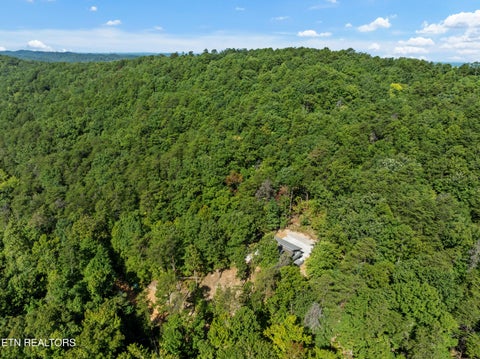 Tiny photo for 3261 Butterfly Hollow Rd, Maryville, TN 37803 (MLS # 1355420)
