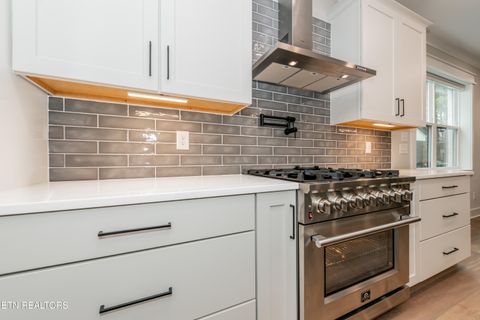 Tiny photo for 545 Brunello Way, Knoxville, TN 37919 (MLS # 1329311)