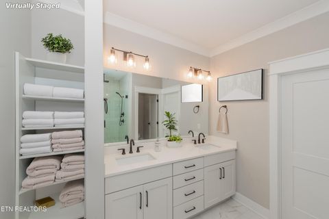 Tiny photo for 545 Brunello Way, Knoxville, TN 37919 (MLS # 1329311)