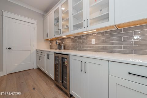 Tiny photo for 545 Brunello Way, Knoxville, TN 37919 (MLS # 1329311)