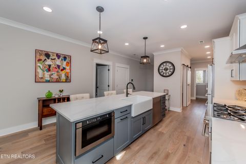 Tiny photo for 545 Brunello Way, Knoxville, TN 37919 (MLS # 1329311)