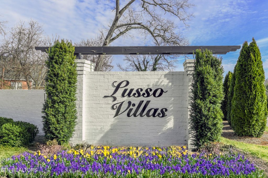 Photo of 545 Brunello Way, Knoxville, TN 37919 (MLS # 1329311)