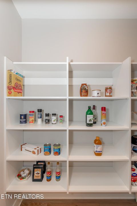 Tiny photo for 545 Brunello Way, Knoxville, TN 37919 (MLS # 1329311)