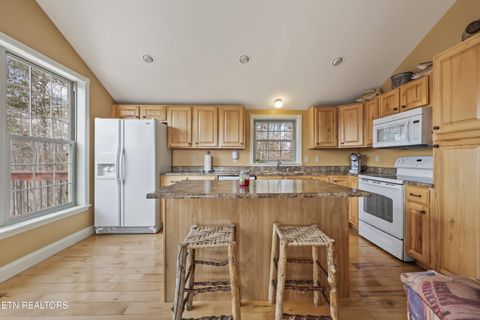 Tiny photo for 169 Helms Ferry Rd, Sharps Chapel, TN 37866 (MLS # 1331788)