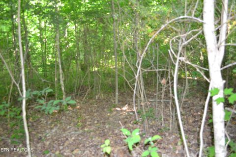 Photo of 5 Dynamite Lane, Livingston, TN 38570 (MLS # 1341991)