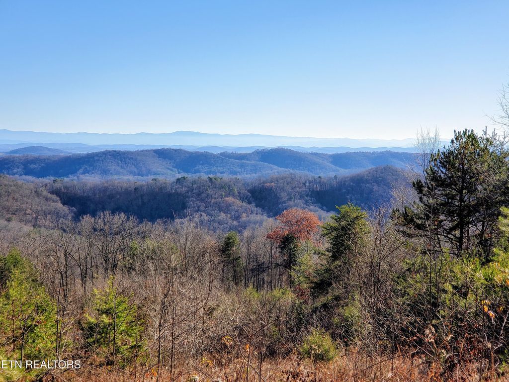 Photo of 5960 Poor Valley Rd, Rutledge, TN 37861 (MLS # 1331061)