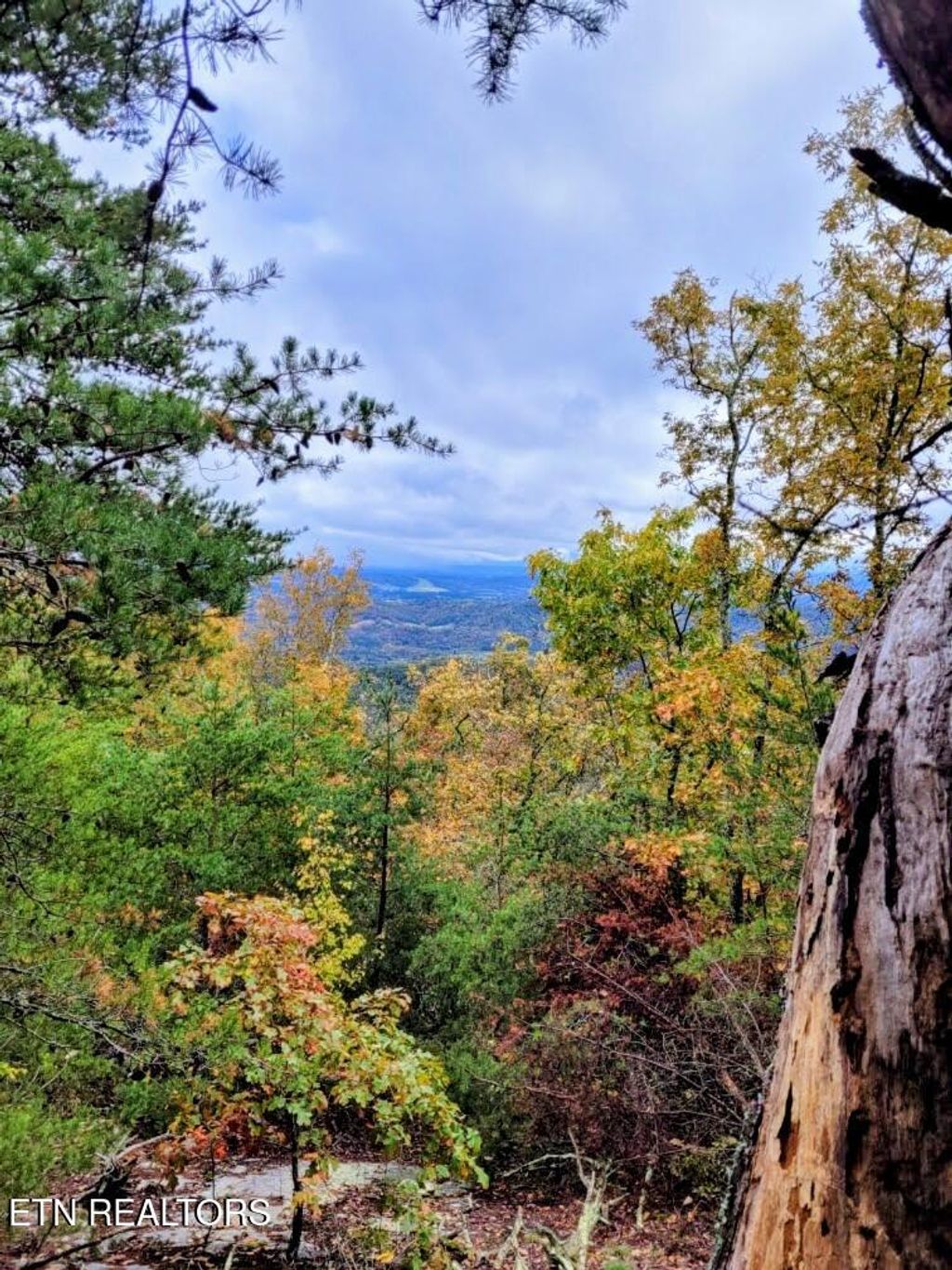 Photo of 5960 Poor Valley Rd, Rutledge, TN 37861 (MLS # 1331061)