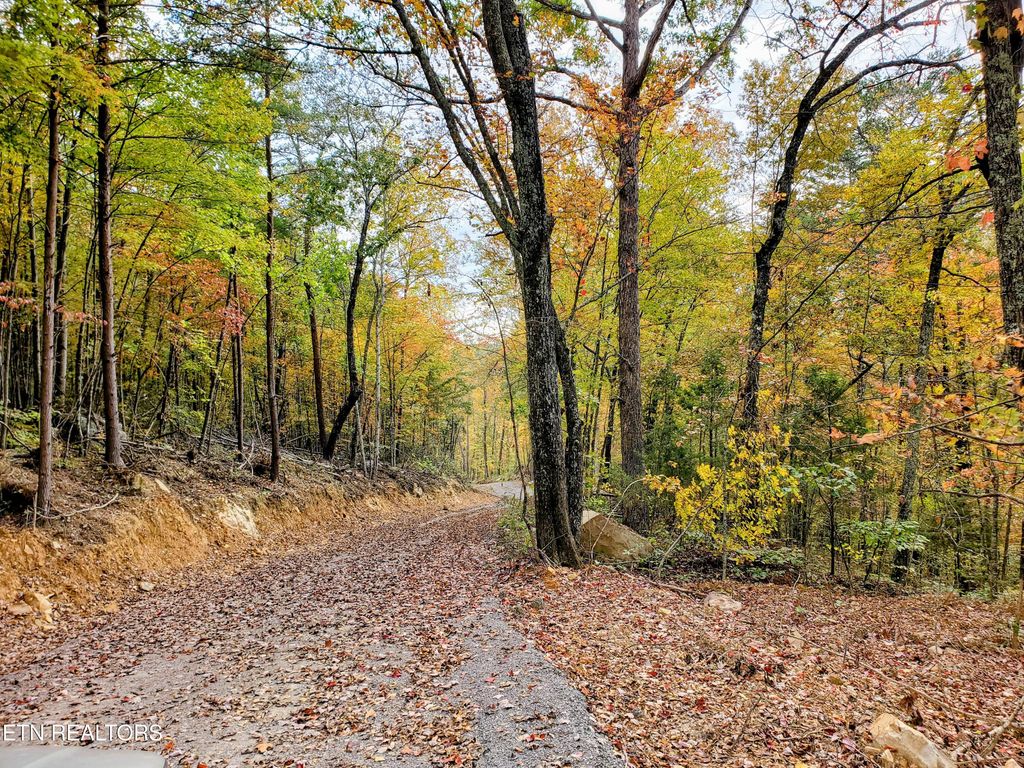 Photo of 5960 Poor Valley Rd, Rutledge, TN 37861 (MLS # 1331061)