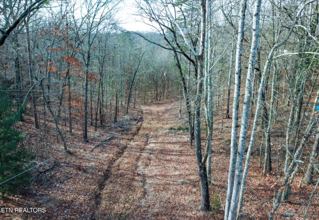 Photo of Hall &amp; Tarwater St, Rockwood, TN 37854 (MLS # 1313136)