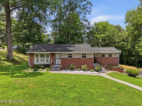 Photo of 415 Michael St, Knoxville, TN 37914 (MLS # 1346695)