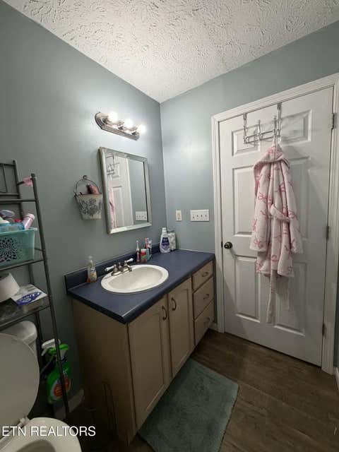 Tiny photo for 713 Petit Lane, Wartburg, TN 37887 (MLS # 1342211)